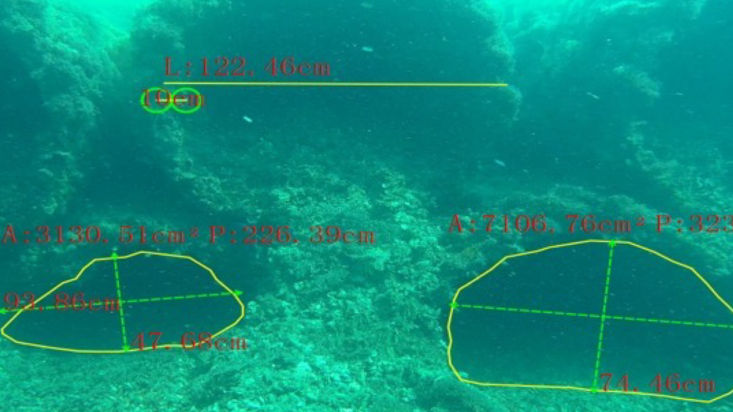 Imagen de dron Fifish W6 NAVI