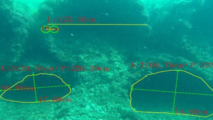 Imagen de dron Fifish W6 NAVI
